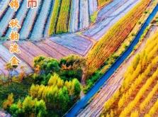 赤峰市盛年商貿(mào)公司電話號碼