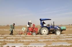 赤峰農(nóng)膜訂購電話號碼查詢