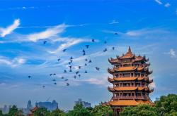 赤峰賓館鶴祥樓電話(huà)號(hào)碼多少