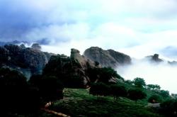 赤峰動植物公園電話多少號