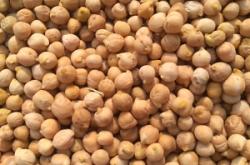 赤峰鷹嘴豆批發(fā)網站電話號碼