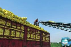 赤峰雨潤蔬菜市場電話號碼