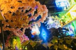 樂巢酒吧赤峰招人嗎電話號碼