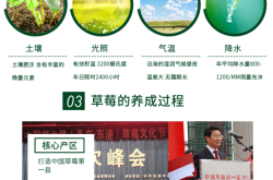 赤峰市壞果包賠電話(huà)號(hào)碼