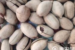 赤峰賣(mài)干果夜市地址電話號(hào)碼