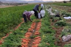 赤峰收購?fù)霖i電話是多少號(hào)