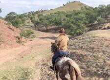 赤峰紅山牛仔店電話號碼多少