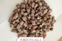 赤峰賣牛膝種子電話號碼是多少