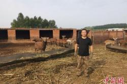 赤峰到法庫客車時(shí)刻表