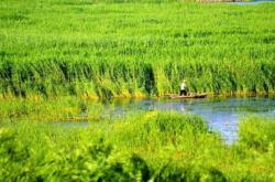 赤峰薰衣草基地電話號(hào)碼查詢