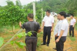 赤峰市鵬鑫物業(yè)電話號碼