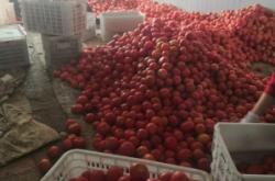 赤峰硬貨研究所地址電話號碼