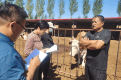 赤峰市橋北送水電話號碼