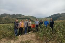 赤峰谷子種植隊(duì)地址電話號(hào)碼