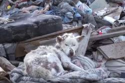 赤峰南山垃圾廠電話多少號