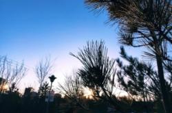 赤峰老虎山景區(qū)電話號(hào)碼是多少