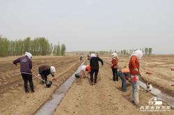 赤峰烤煙合作社地址電話號碼