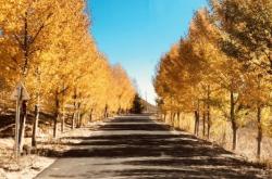 李家營(yíng)子到赤峰客車電話號(hào)碼