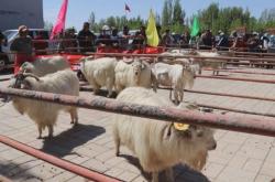 赤峰東黎俊景售房電話號碼