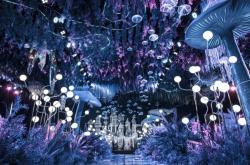 赤峰藍(lán)白主題婚禮酒店電話號(hào)碼