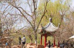 長(zhǎng)清花園赤峰菜館電話多少號(hào)