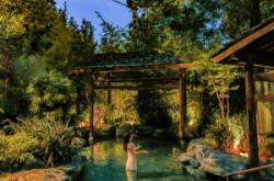 赤峰賓館燒烤小院電話多少號(hào)