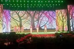 赤峰少兒藝術(shù)電視臺電話號碼