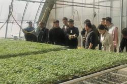 赤峰收育肥牛的地方電話號碼