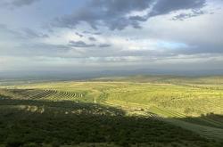 赤峰收購(gòu)檸條籽商店電話(huà)號(hào)碼