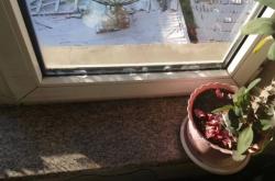 赤峰高效臭味劑公司電話號碼