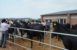 赤峰市敖漢旗正骨店電話號碼
