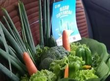 赤峰閃送私家車電話號碼