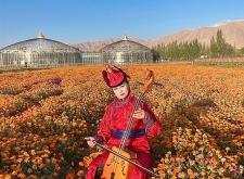 赤峰馬頭琴培訓(xùn)學(xué)校