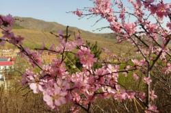 赤峰喀喇沁武術(shù)場(chǎng)館電話號(hào)碼
