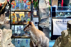 赤峰親子服裝店電話地址查詢