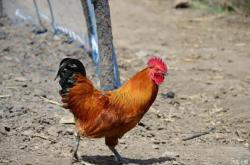 赤峰興城漁業(yè)公司電話號(hào)碼查詢