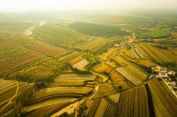 赤峰巔峰商貿(mào)公司電話地址查詢