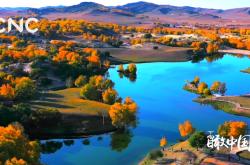 赤峰輥箱定制廠家電話號碼