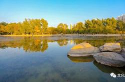 赤峰小李子專賣店電話號碼