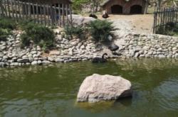 赤峰祥家小館電話號碼查詢