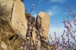 赤峰到鳳凰嶺客車電話號碼