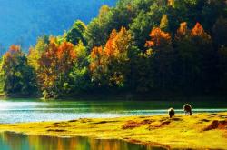 赤峰柳條溝彩椒廠電話號碼