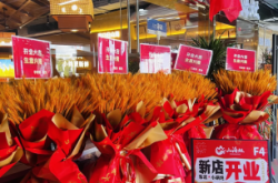 赤峰哪里收購(gòu)大鵝