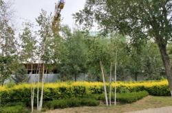 赤峰摩爾城嬰兒車店電話號(hào)碼