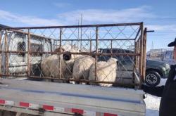 東烏旗到赤峰的電話