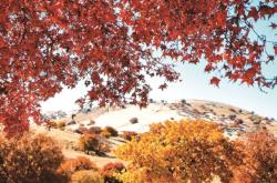 赤峰線下伴游公司電話號(hào)碼查詢