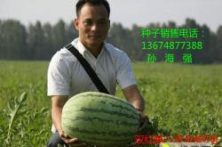 赤峰大棚搭建施工隊(duì)電話號碼