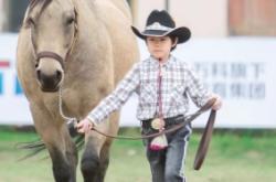 赤峰樂馭馬術(shù)館電話地址查詢