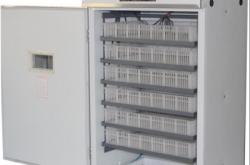 赤峰雞鴨鵝孵化基地電話號碼