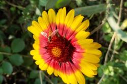 赤峰玫瑰坊霞姐酒店電話號(hào)碼